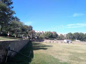 The Rajasthan School Gallery 7