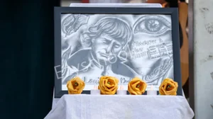 Montfort Public School Gallery 21