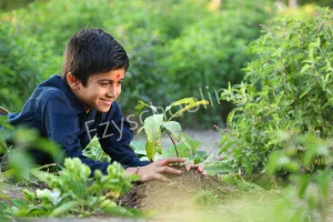 Shree Swaminarayan Gurukul Gallery 4