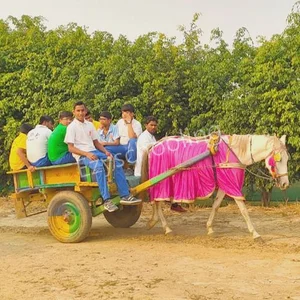Satyug Darshan Vidyalaya Gallery 5