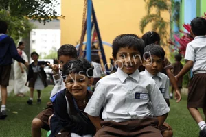 WisdomWood High Gallery 2