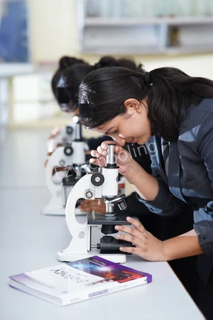 Grizzly Vidyalaya Gallery 17