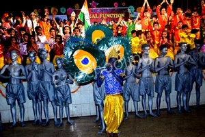 Bright Brain Public Collegiate Gallery 41