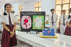 Central Academy Gallery 6