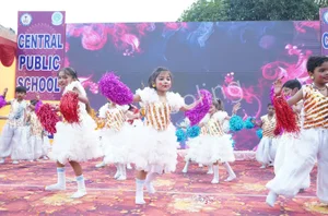 Central Public School Gallery 14