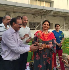 City Montessori School Gallery 13