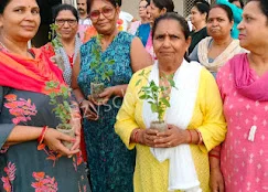 City Montessori School Gallery 10