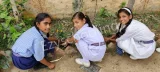 Kailash Public School Kailash Public School Gallery