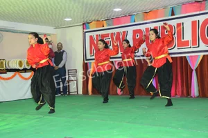 New Public College  Gallery 19