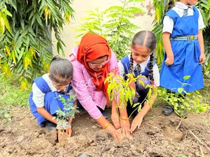 Trinity International Public School Gallery 15