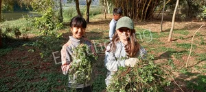 Stonehill International School Gallery 28