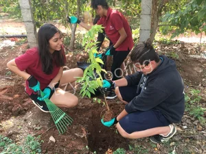 Stonehill International School Gallery 18