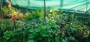 Stonehill International School Gallery 8