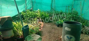 Stonehill International School Gallery 9