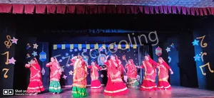 Mohan Lal Sah Bal Vidya Mandir Gallery 19