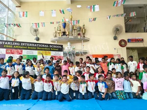 Starling International School Gallery 12