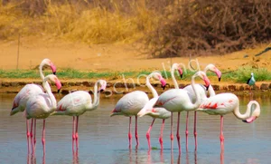 Mody school Gallery 1