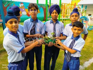 Alliance International School Gallery 37