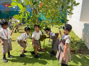 Candor National Public School Gallery 1