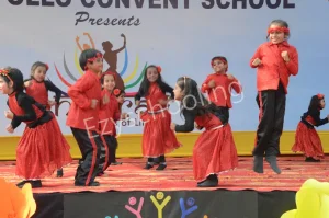 Apollo Convent School Gallery 6