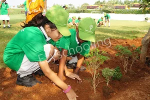 Delhi World Public School Gallery 7