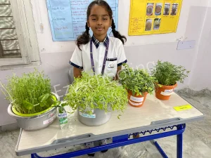 FLY Holistic School Gallery 10