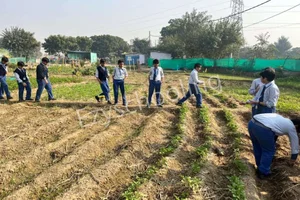 Manvi Public School Gallery 3