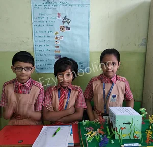 Shiny Scholar School Gallery 6