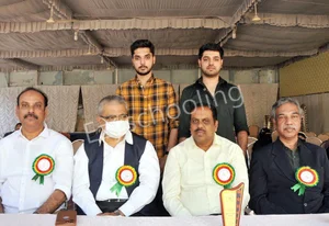 The Nobel School Gallery 13