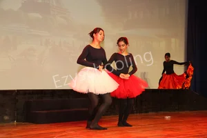 Delhi Public School Gallery 7