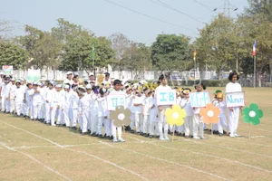 Adamas World School Gallery 5