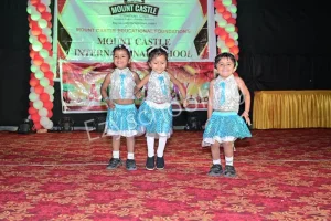 Mount Castle International School Gallery 2