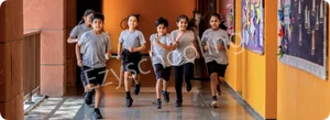 The Aga Khan Academy Gallery 5