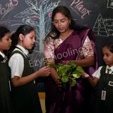 Slate - The School Slate - The School Gallery