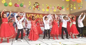 Vikas High School Gallery 4