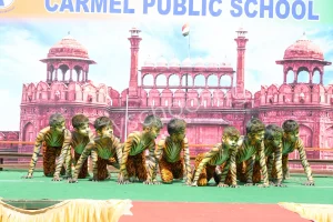 Carmel Public School Gallery 5