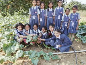 Global educational school Gallery 1
