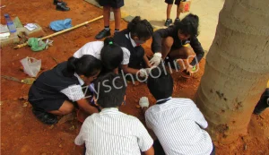Greenfield Public School Gallery 11