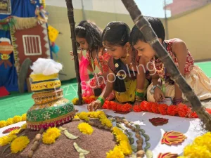 Indo American Public School Gallery 18