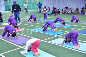 Kangaroo Kids International Preschool Gallery 26