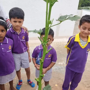 Kangaroo Kids International Preschool Gallery 3