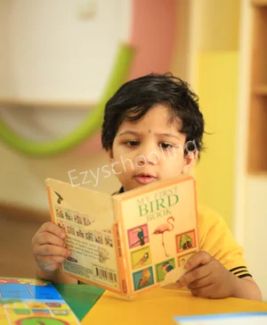 Little Elly Gallery 48