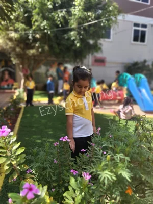 Little Elly Gallery 3