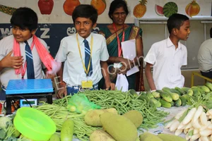 Nisarga Vidyanikethana Gallery 28