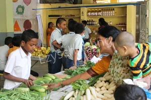 Nisarga Vidyanikethana Gallery 31