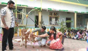Pavithra Public High School Gallery 11