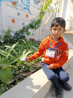 Bluebell Blossom Pre-Primary School Gallery 5