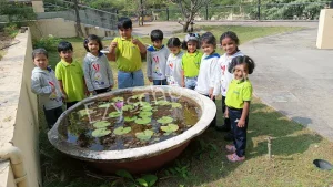 EuroKids Pre School Gallery 4