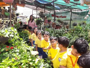 Kidzee Pre School Gallery 7