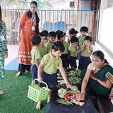 The Learning Curve Gallery